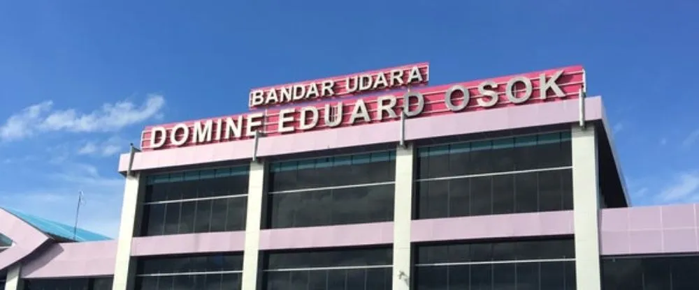 Domine Eduard Osok Airport